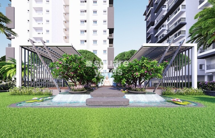 Risinia Skyon Specification