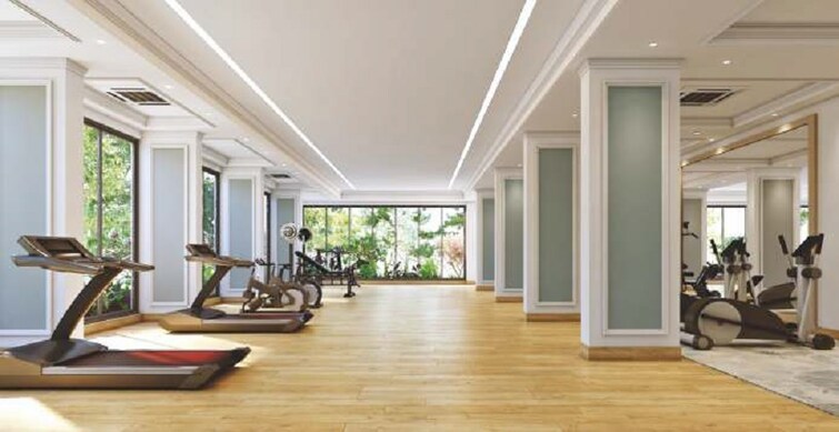 RNP 1 Gymnasium Image