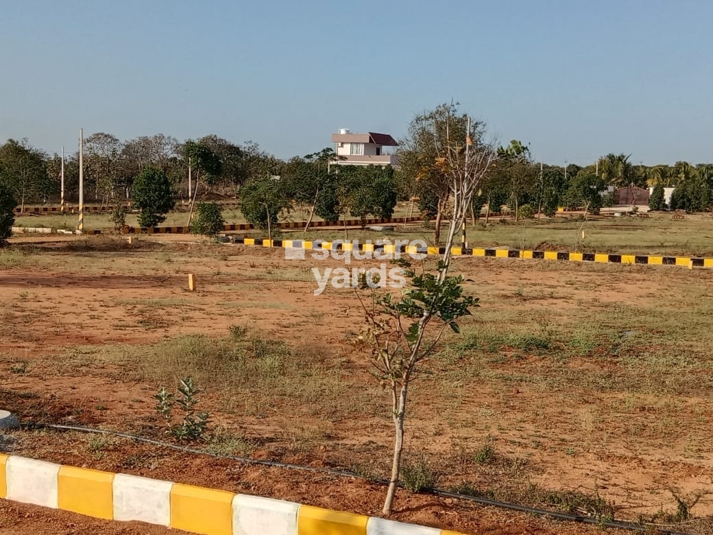 RP Sri Sai Bloom City 2 Plot Images