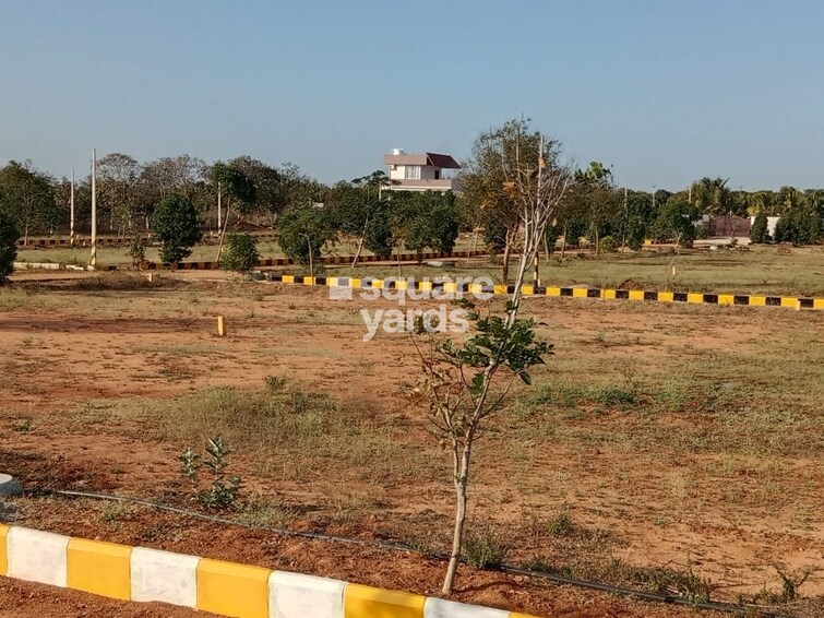 RP Sri Sai Bloom City 2 Plot Images 1