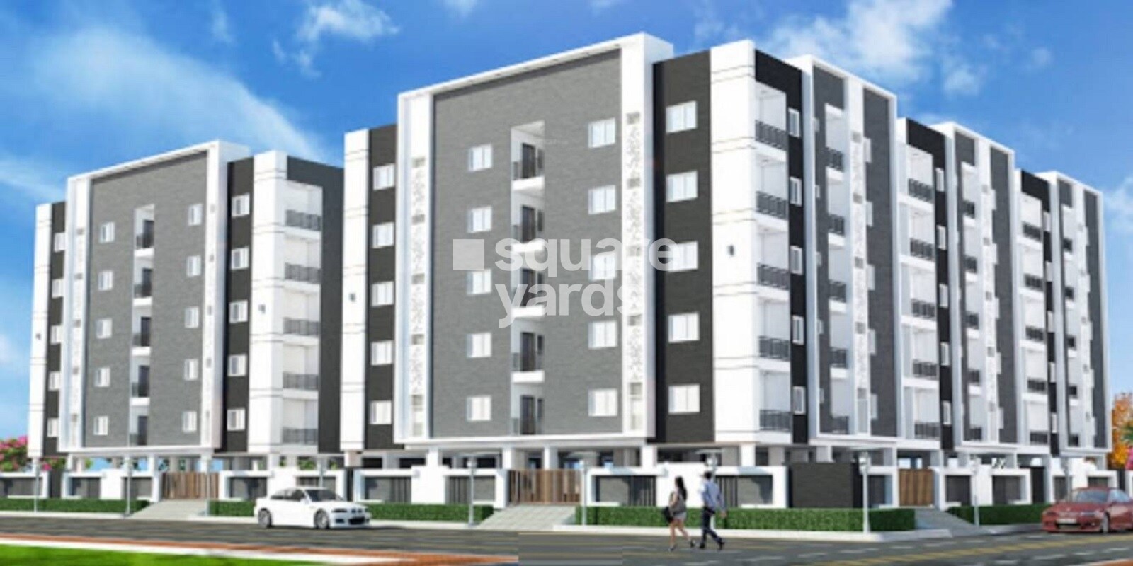 S And S Shapur Elite County