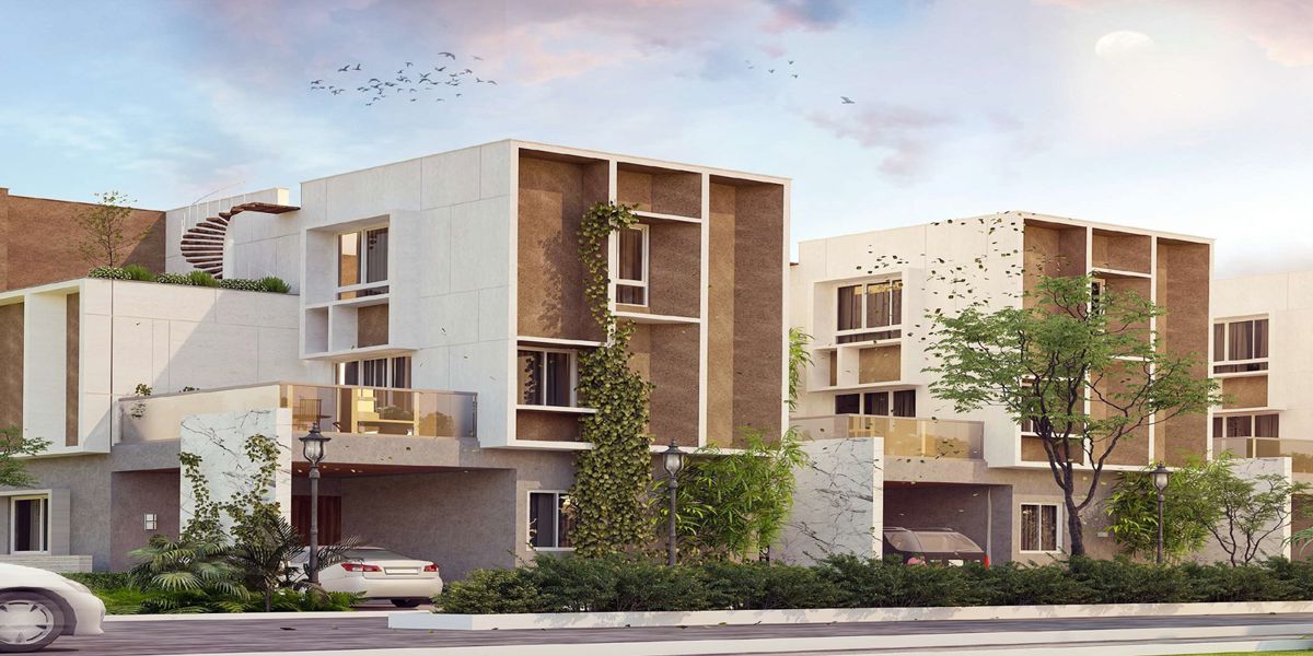 Sark Prime Lamagnolia