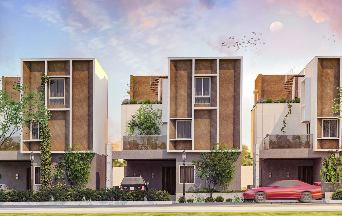 Sark Prime Lamagnolia