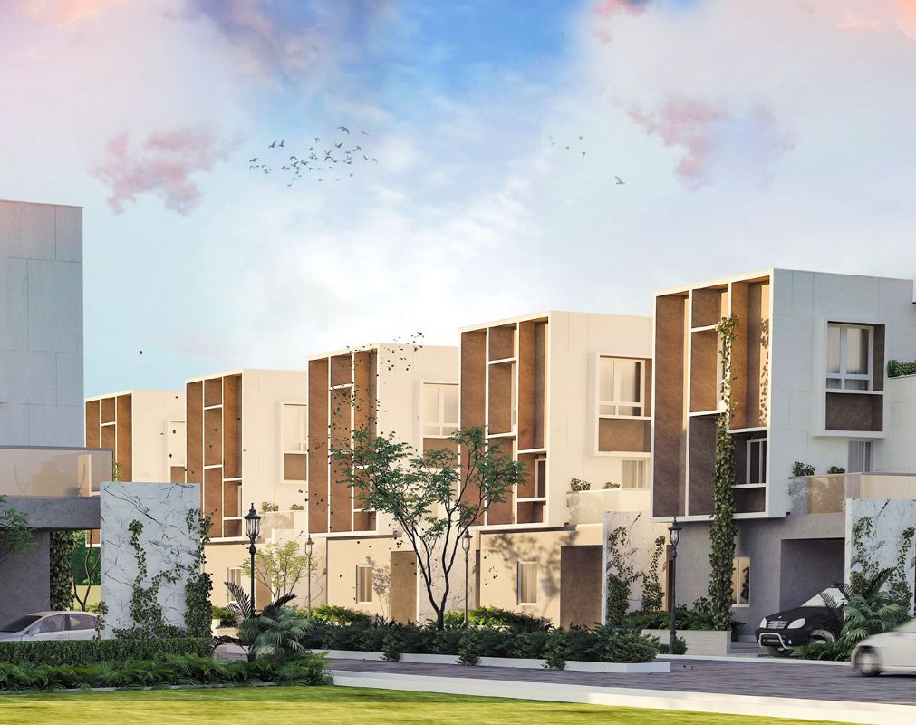 Sark Prime Lamagnolia