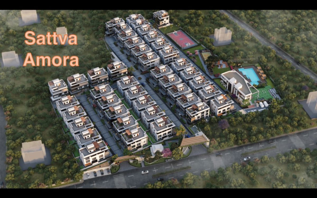 Sattva Amora