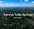 Savvys Tulip Springs