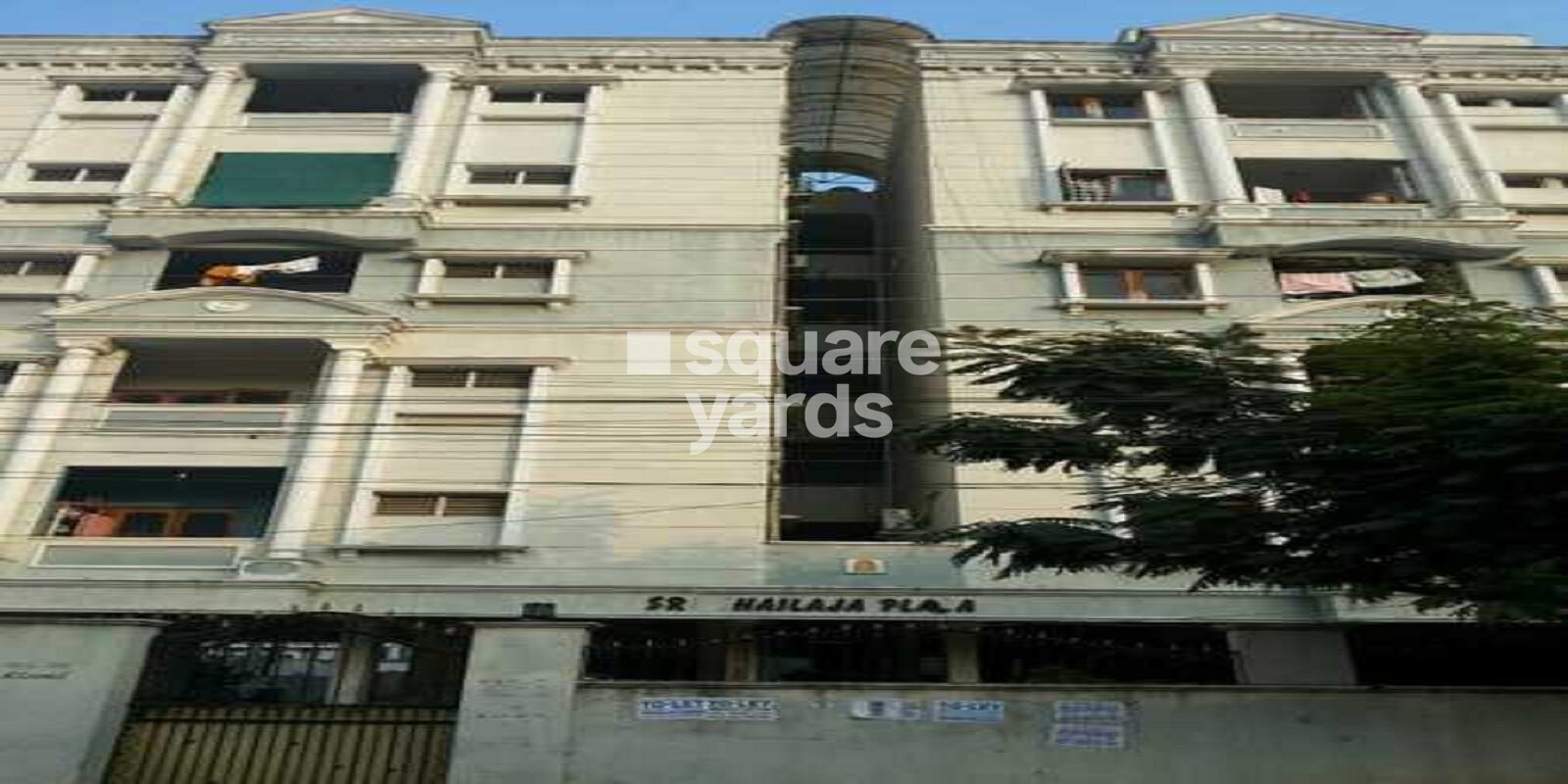 Shailaja Palza Featured Image