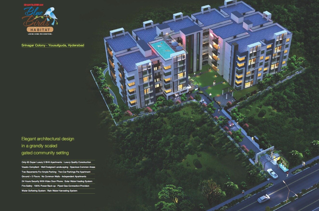 Shanta Sriram Blue Birds Habitat Tower View