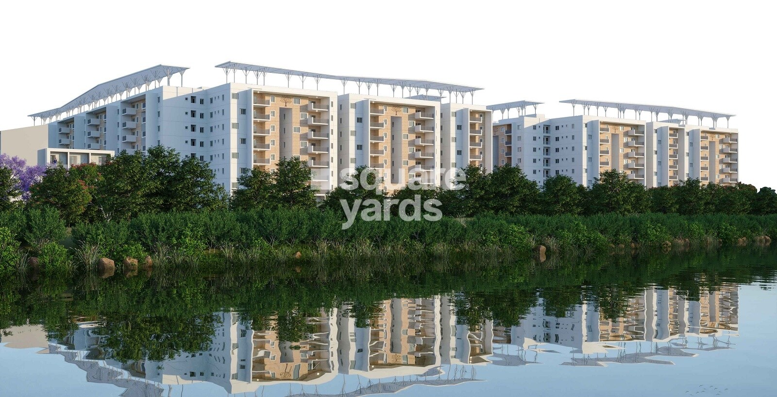 Shanta Sriram The Bodhivriksha