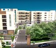 Shiva Lavista