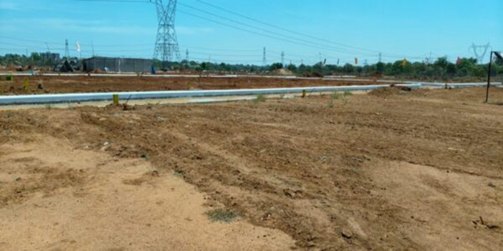 Shubha Golden Orchid Featured Image