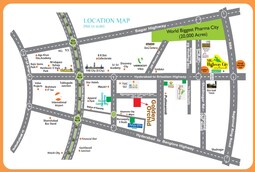 Shubha Golden Orchid