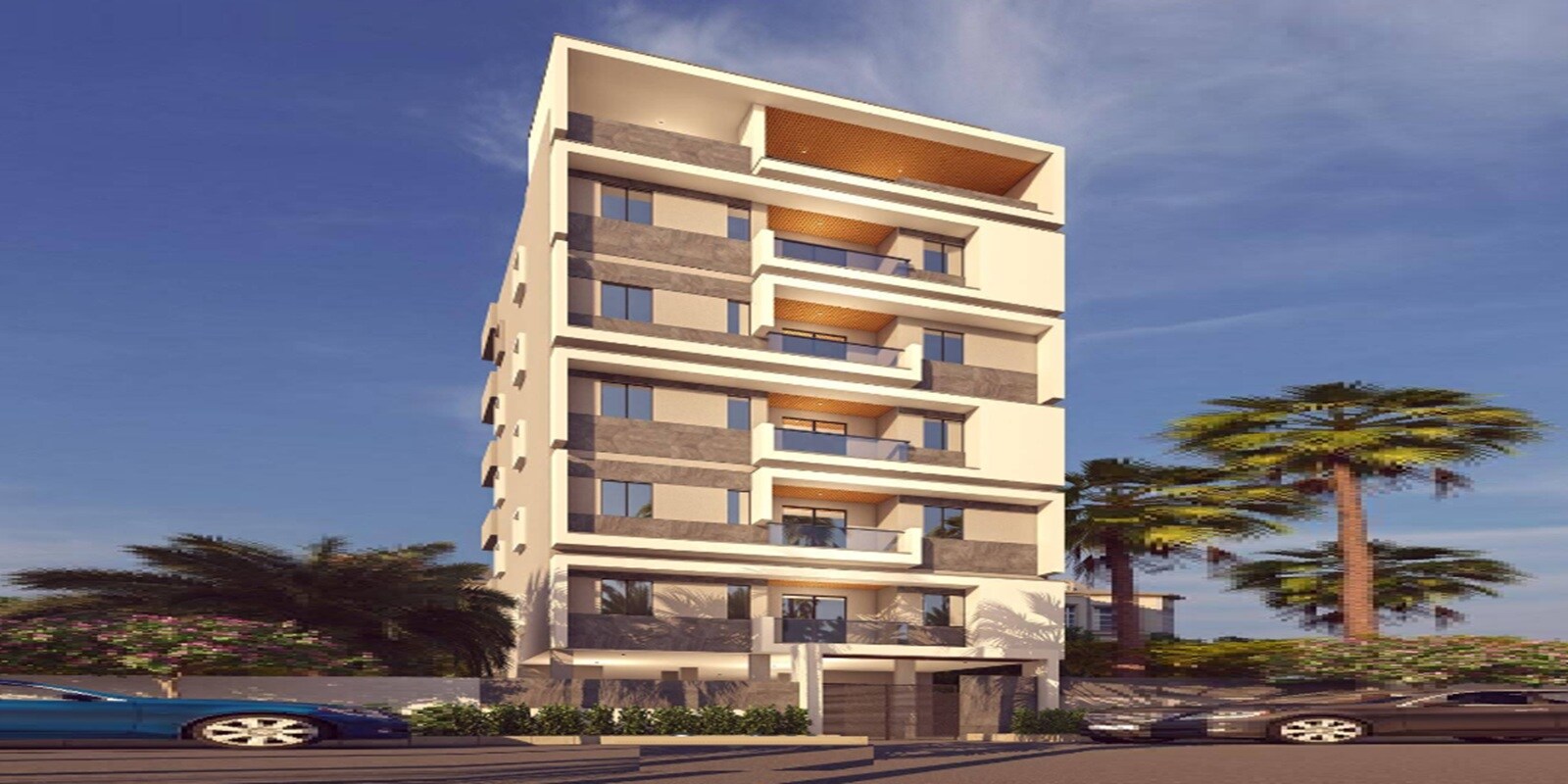 Sikhara Aster Cover Image