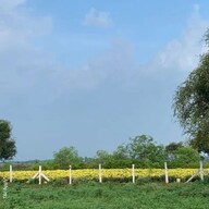 Silpa Aranya Amenities-Features