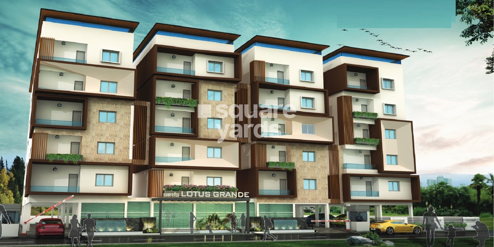 Siris Lotus Grande Featured Image