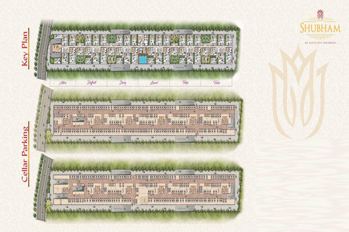 Splendeur Shweta Shubham