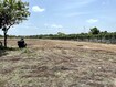 Sree Urban Ridge Plot Images