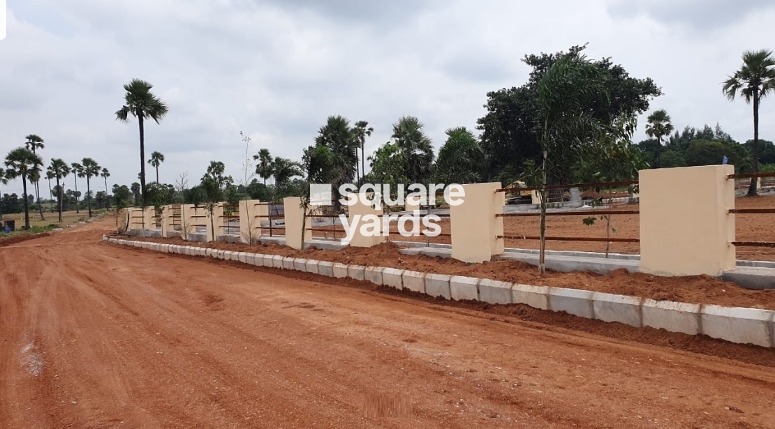 Sri County Phase 2 Plot Images