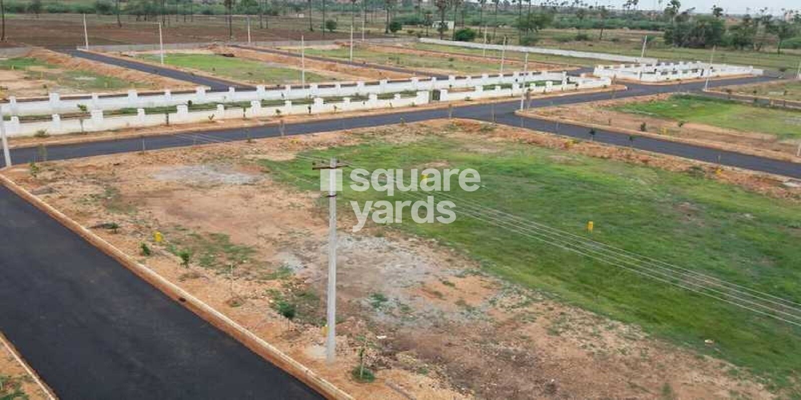 Srika LR Green Chips Featured Image