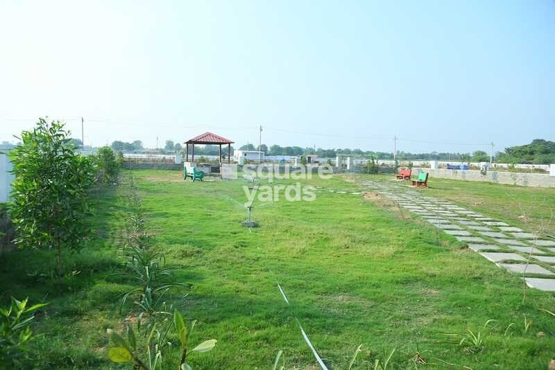 Srika LR Song Of The South Amenities-Features