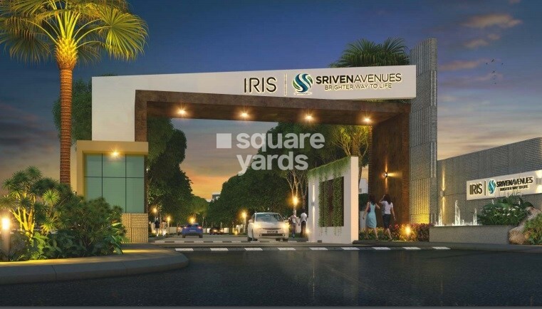 Sriven Avenues Iris