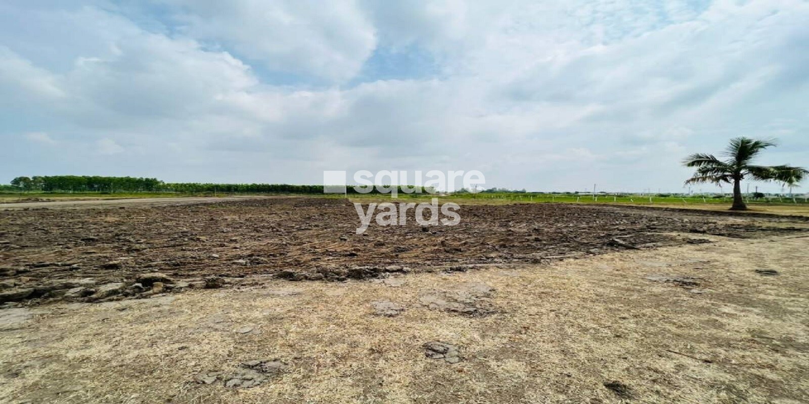 Sukrithi League Prime Avenue Tower View