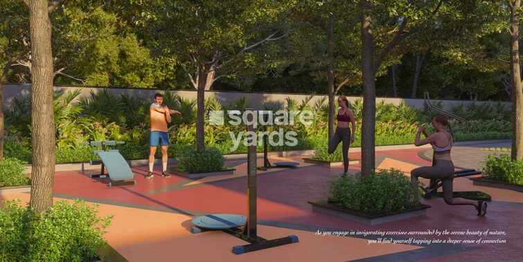 Sunshine Destino Gymnasium Image