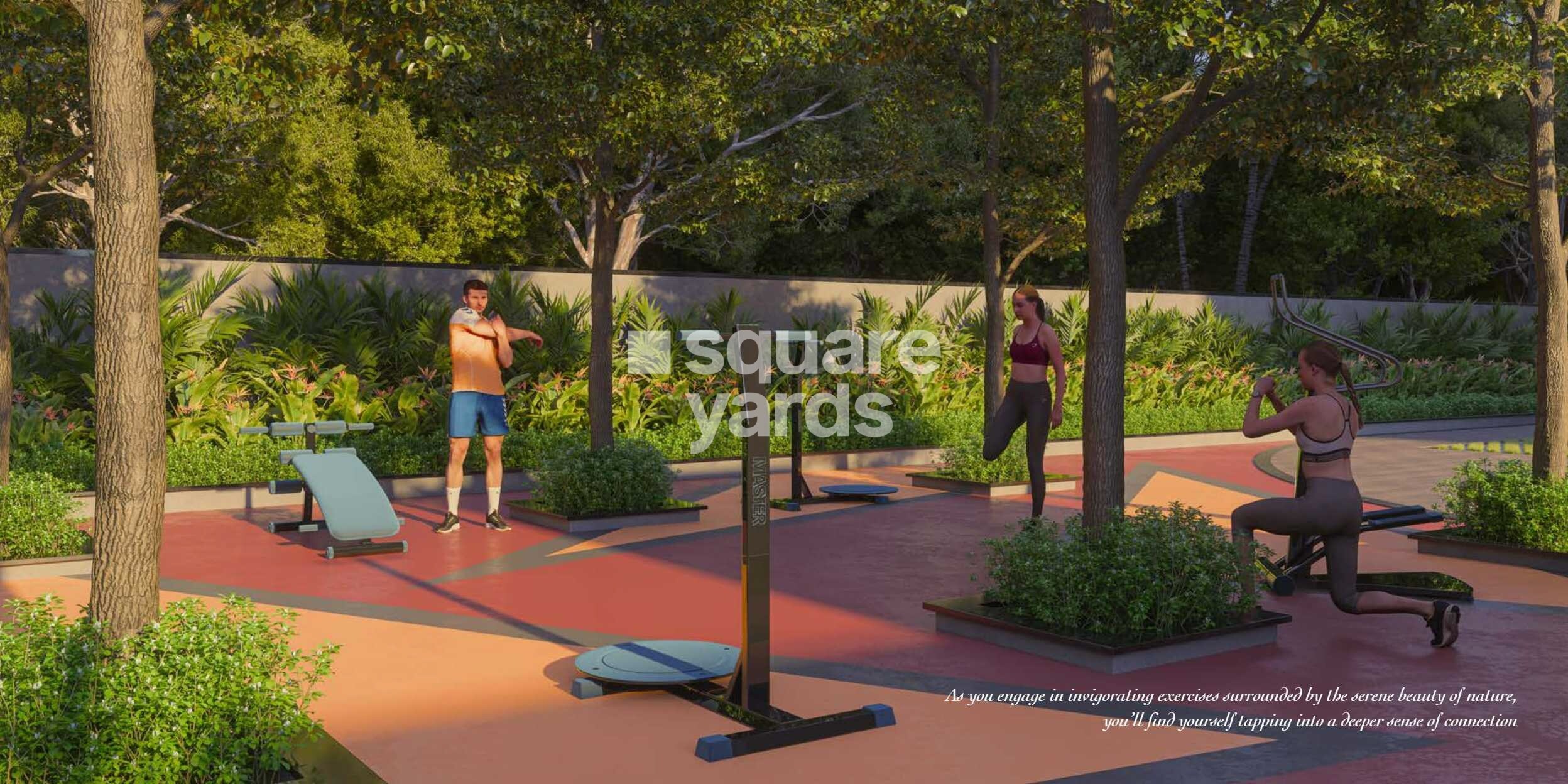 Sunshine Destino Gymnasium Image