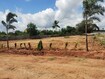 Surya Dream City Plot Images