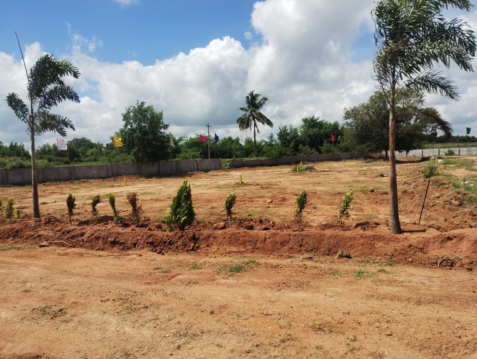 Surya Dream City Plot Images 3