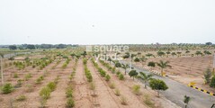 Swarga Sirula Seema