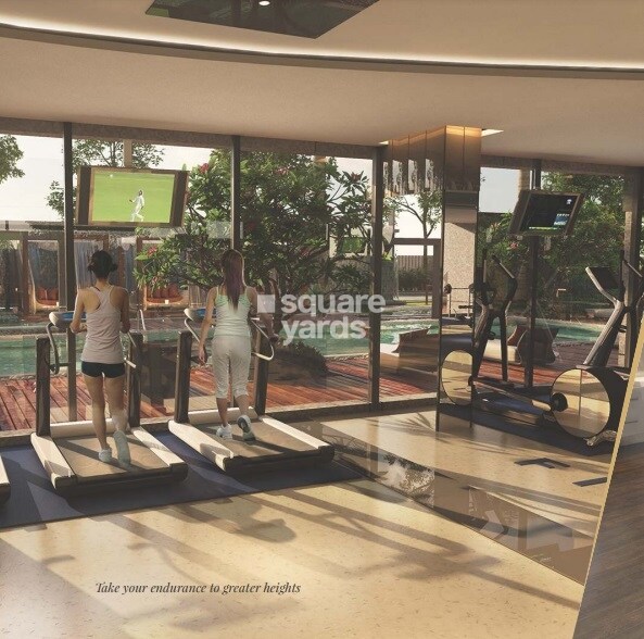 The First Amenities-Features 2