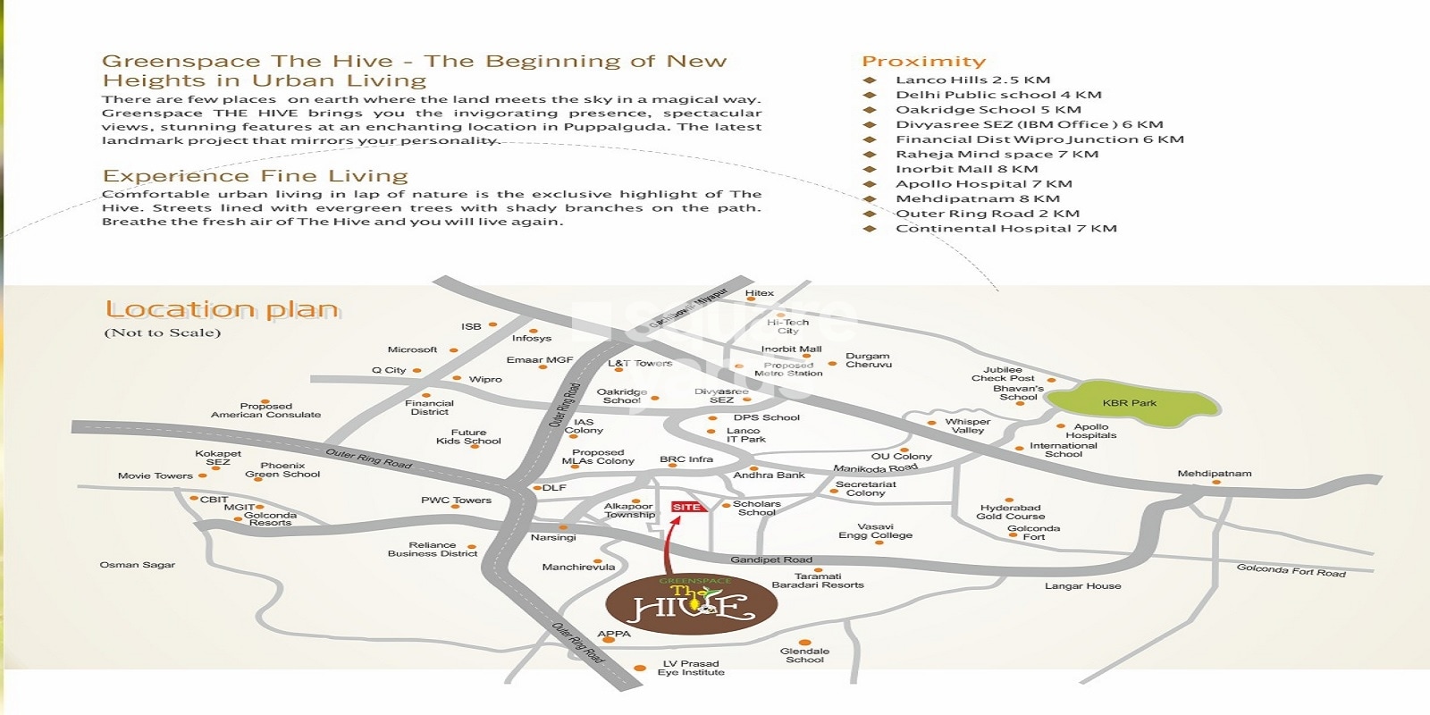 The Hive Location Image