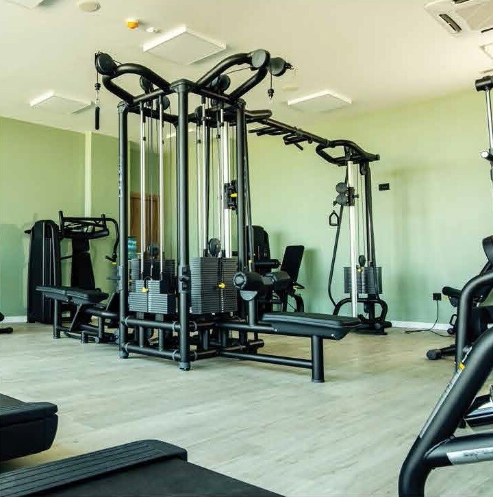 TMSR Skyler Gymnasium Image