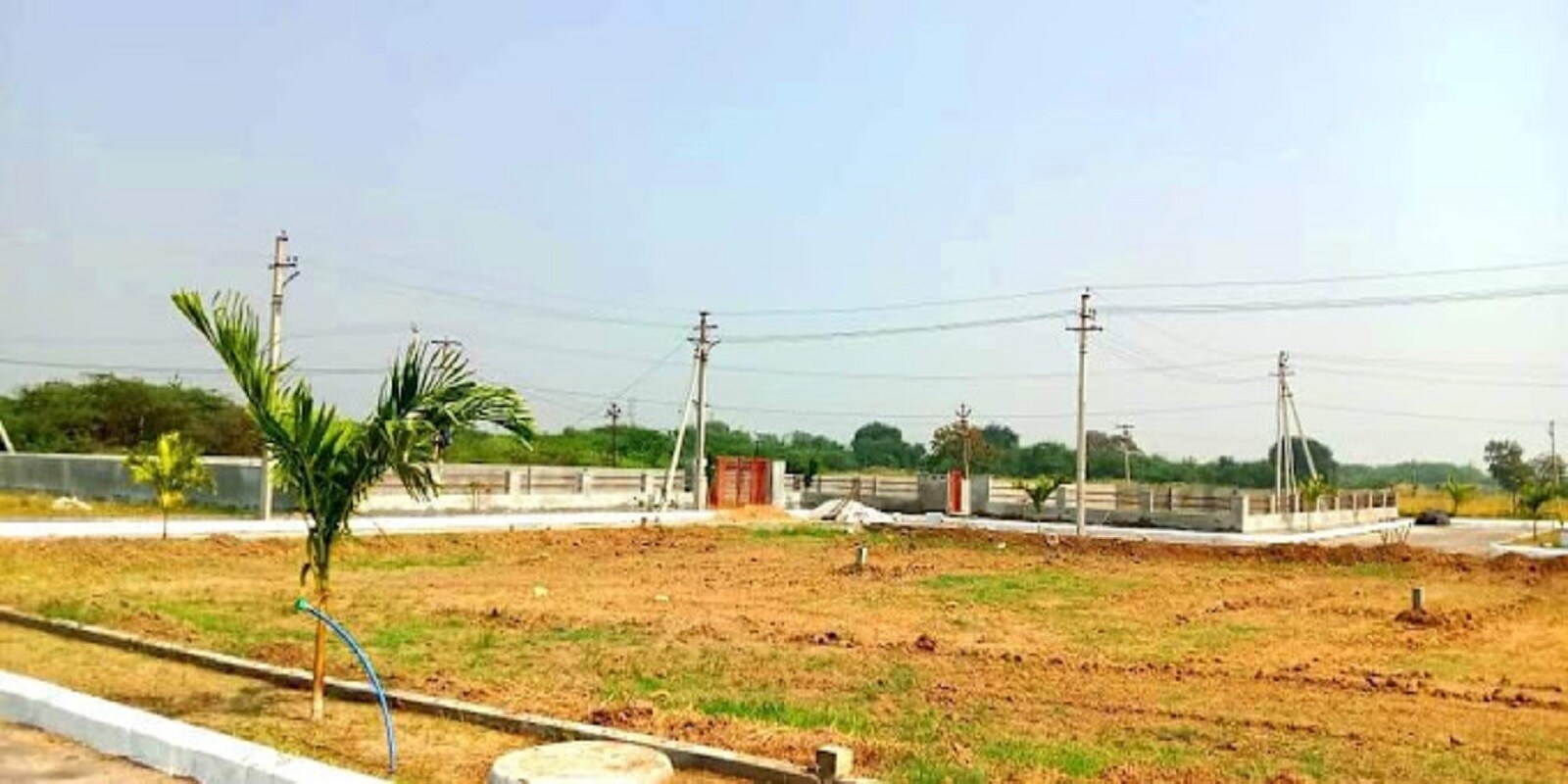 Trayee Green Woods Featured Image