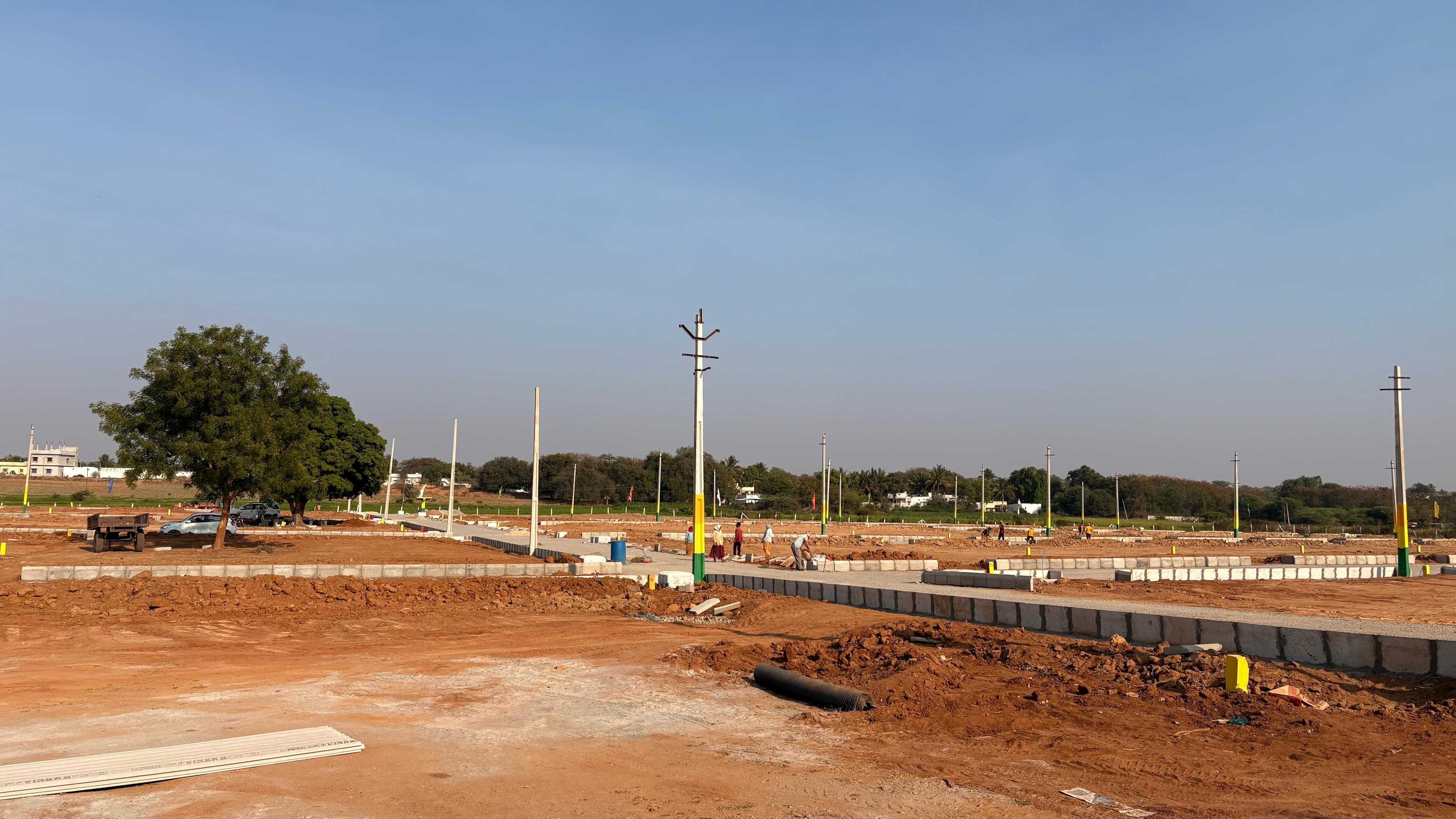 True Platinum Burgula Plot Images 1