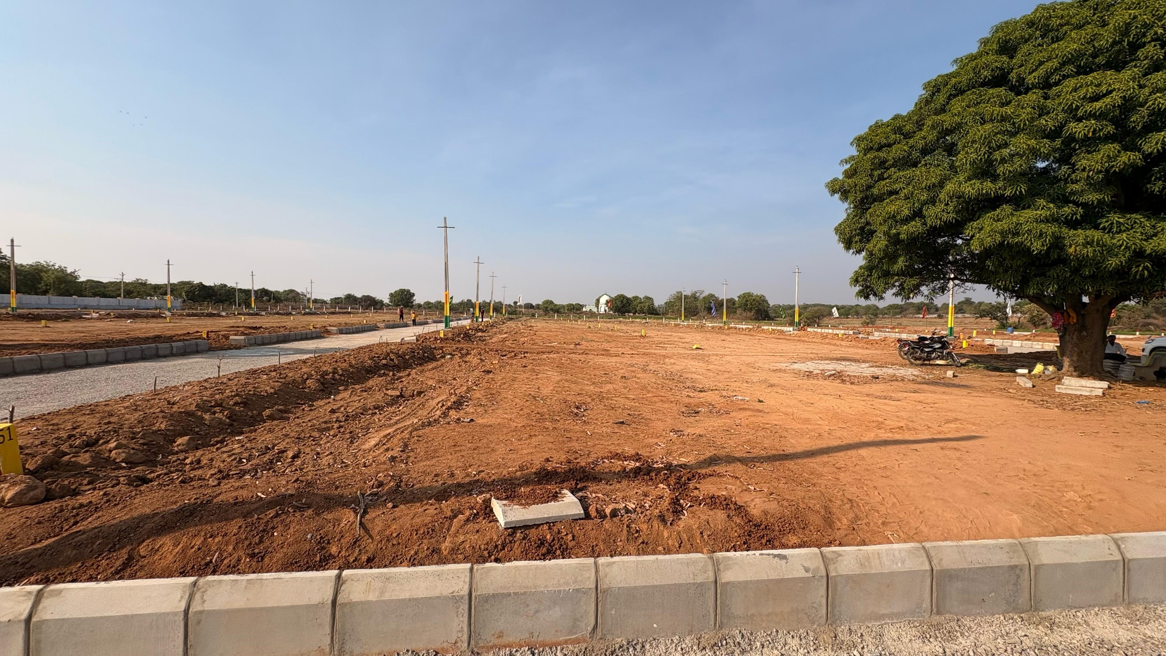 True Platinum Burgula Plot Images 2