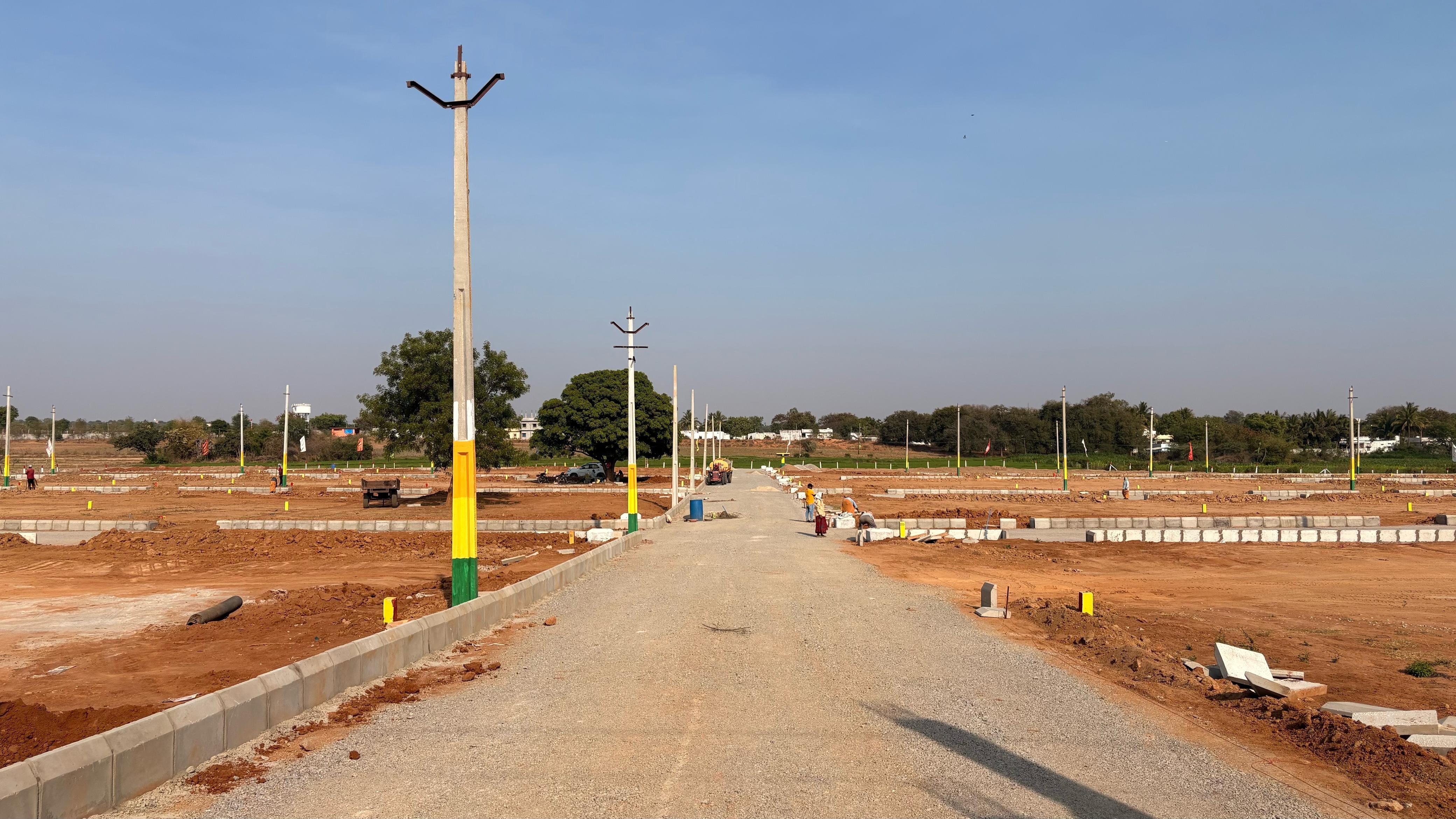 True Platinum Burgula Plot Images 3