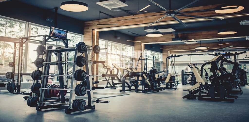 Urbanrise The World of Joy