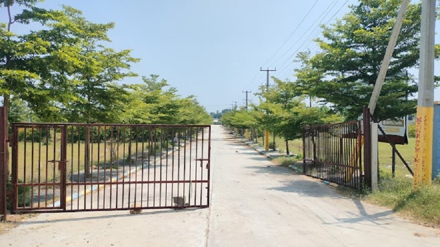 Vasudaika Henley Woods