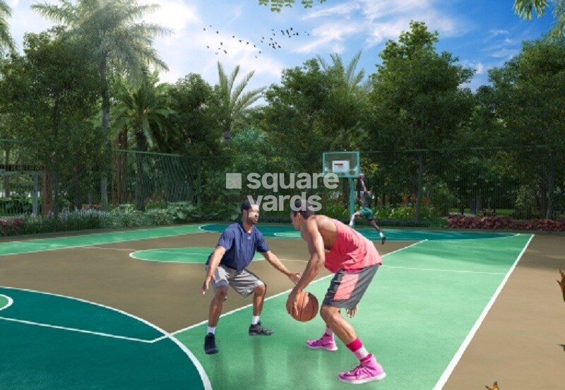 Vennala Dates County