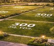 Verdi Estates