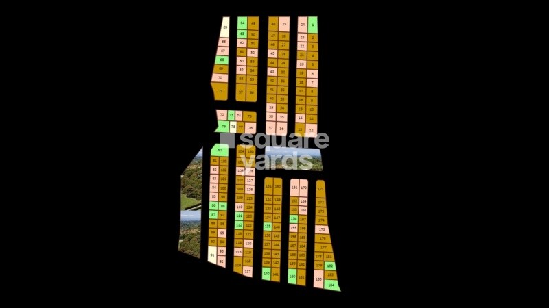 Verita True Diamond Burgula