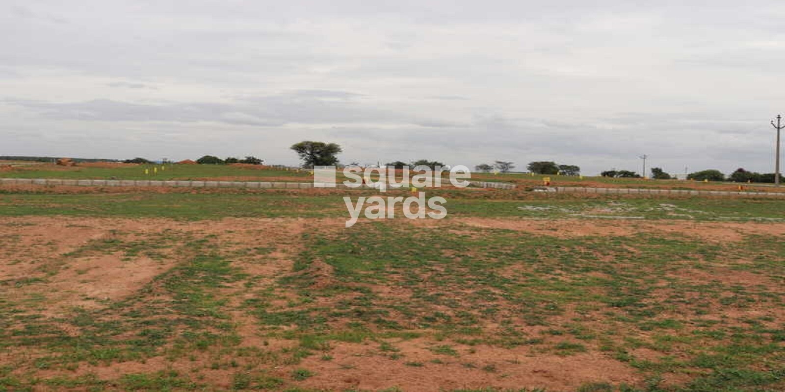 Verita True Diamond Burgula Featured Image