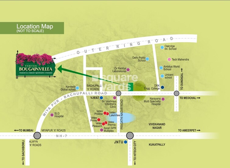 Vertex Bougainvillea Location Image