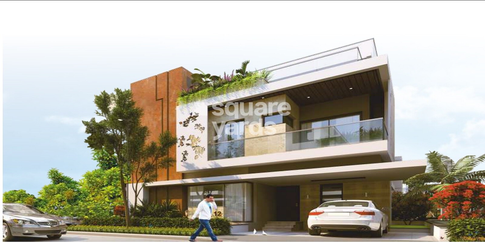 Vertex Bougainvillea