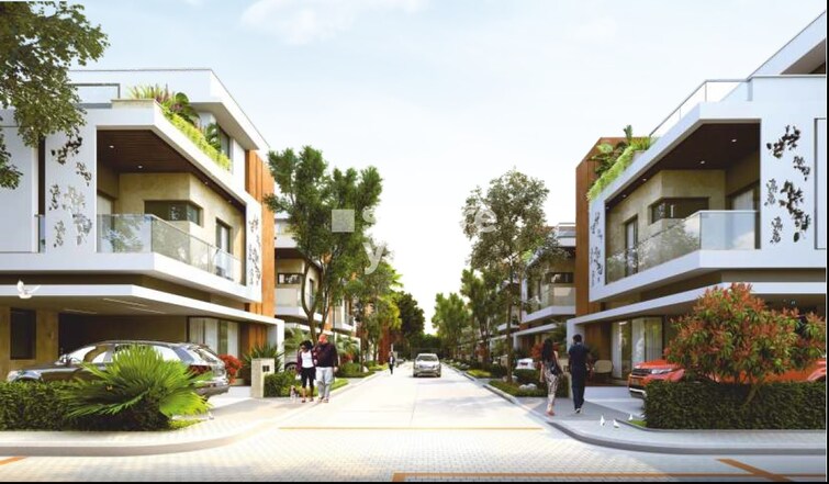 Vertex Bougainvillea Tower View