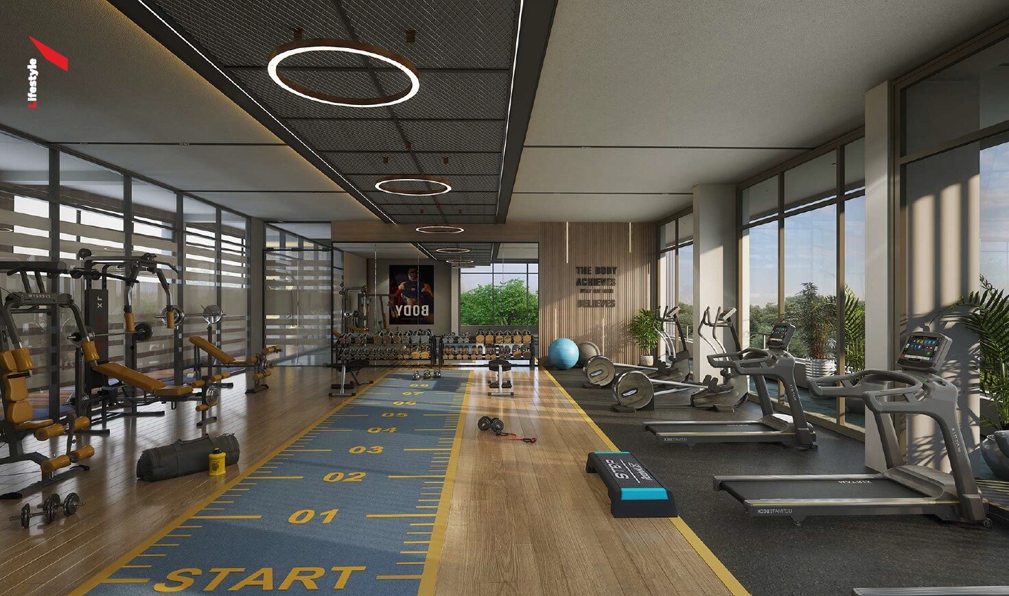 Vertex Florenza Gymnasium Image