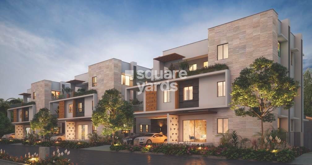 Vertex Kingston Park