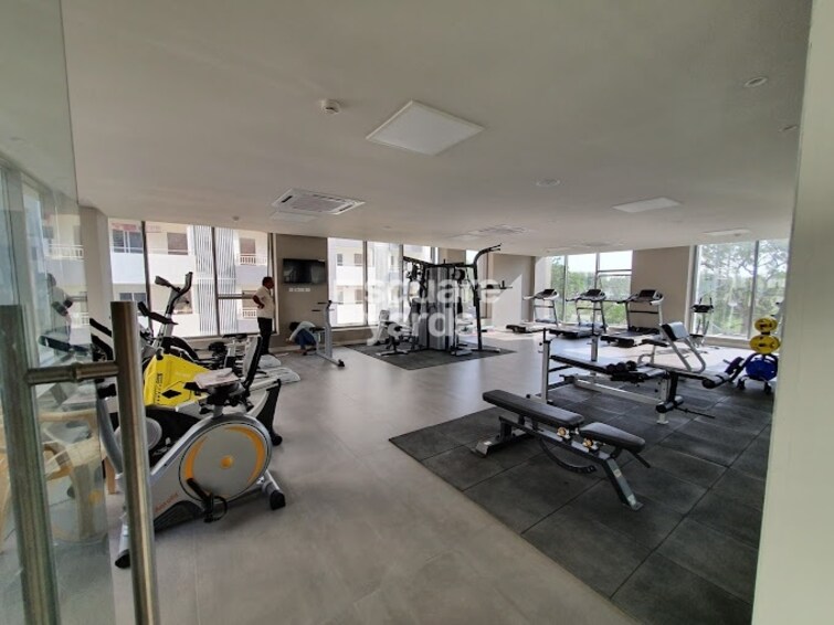 Vertex Panache Gymnasium Image